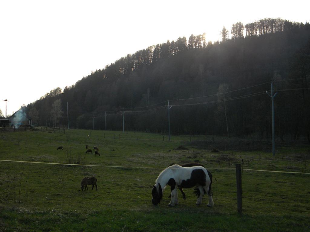 Penzion A Apartmany Skipark Hrabesice Krasne Buitenkant foto